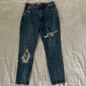 Abercrombie and Fitch Curve Love Hugh Rise Mom Jean